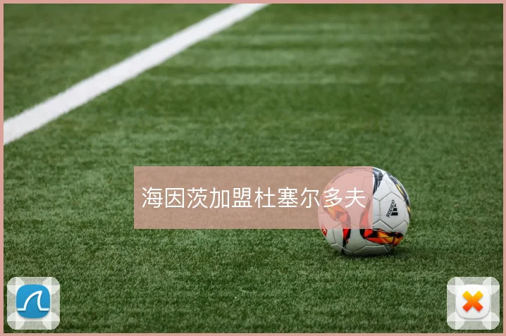 海因茨加盟杜塞尔多夫