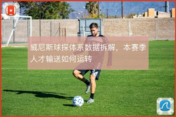 威尼斯球探体系数据拆解，本赛季人才输送如何运转