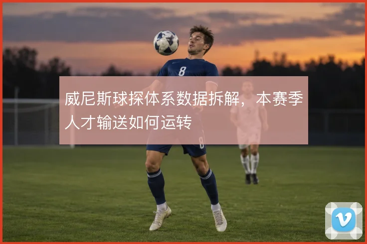 威尼斯球探体系数据拆解，本赛季人才输送如何运转