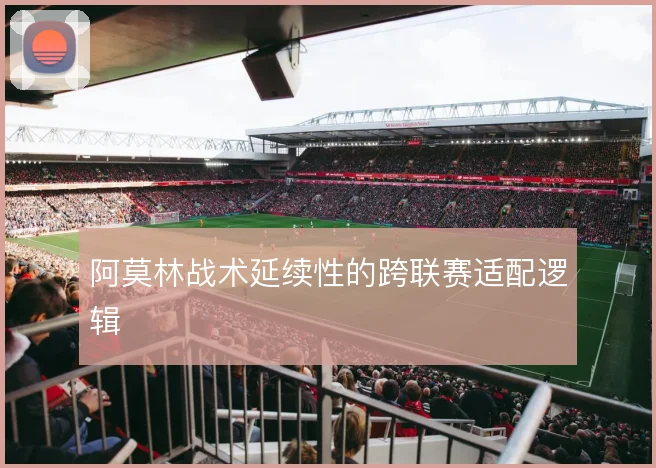 阿莫林战术延续性的跨联赛适配逻辑