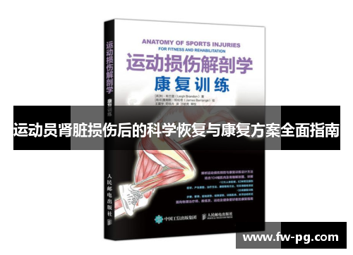 运动员肾脏损伤后的科学恢复与康复方案全面指南