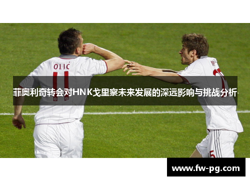 菲奥利奇转会对HNK戈里察未来发展的深远影响与挑战分析