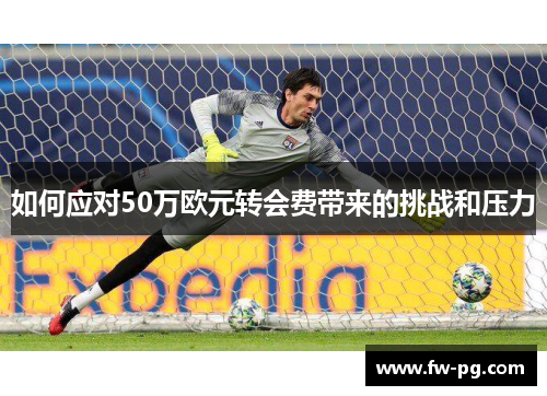 如何应对50万欧元转会费带来的挑战和压力