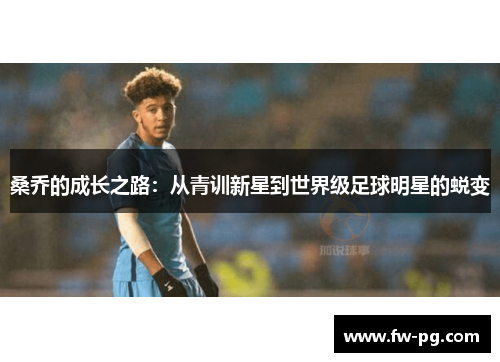 桑乔的成长之路：从青训新星到世界级足球明星的蜕变