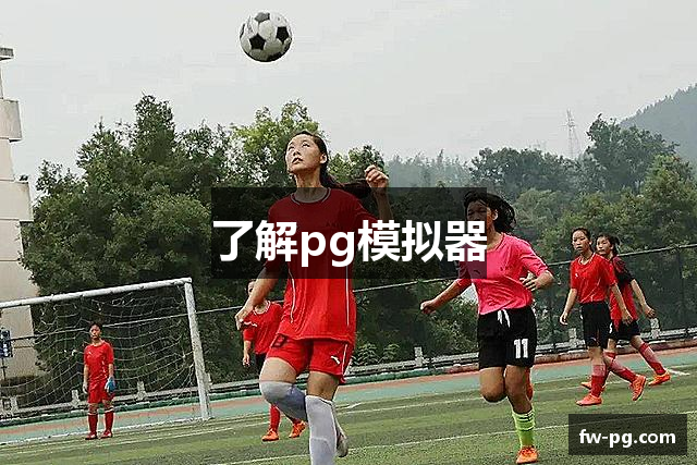 了解pg模拟器